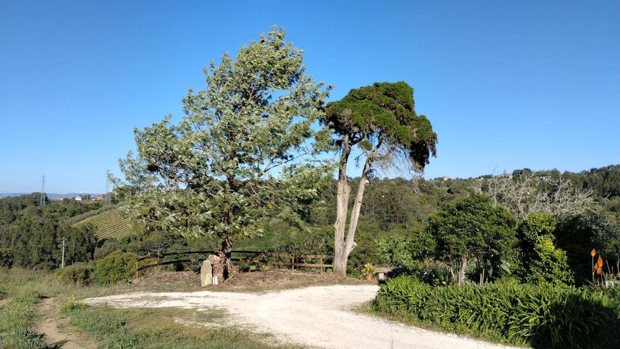 Quinta Do Oratorio Agroturismo Обидуш Экстерьер фото